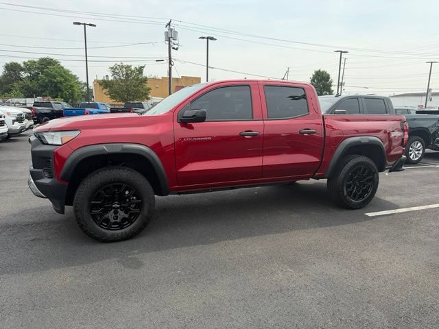 Photo 7