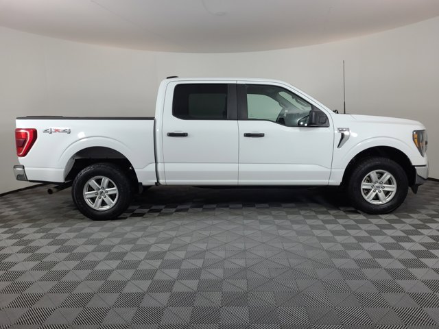 Used 2023 Ford F-150 XLT with VIN 1FTFW1E88PFB73009 for sale in Brighton, CO