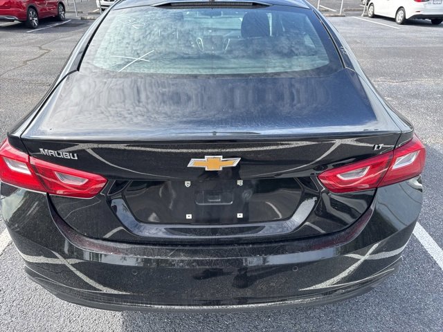 2024 Chevrolet Malibu 1LT photo 3
