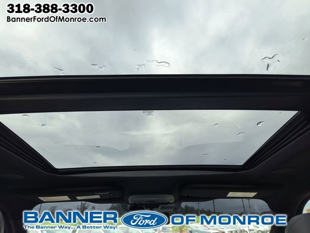 2025 Ford F-150 Platinum - Photo 13