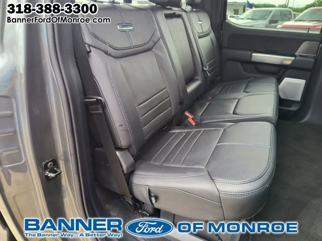 2025 Ford F-150 Platinum - Photo 15