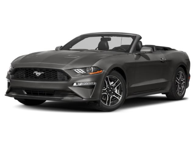 2019 Ford Mustang EcoBoost Convertible's photo