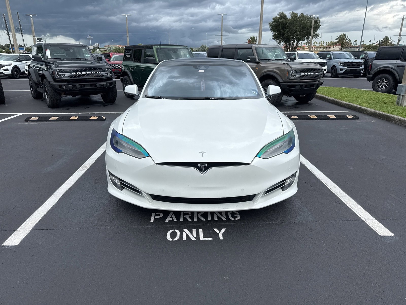 Used 2016 Tesla Model S 90D with VIN 5YJSA1E21GF142147 for sale in Davenport, FL