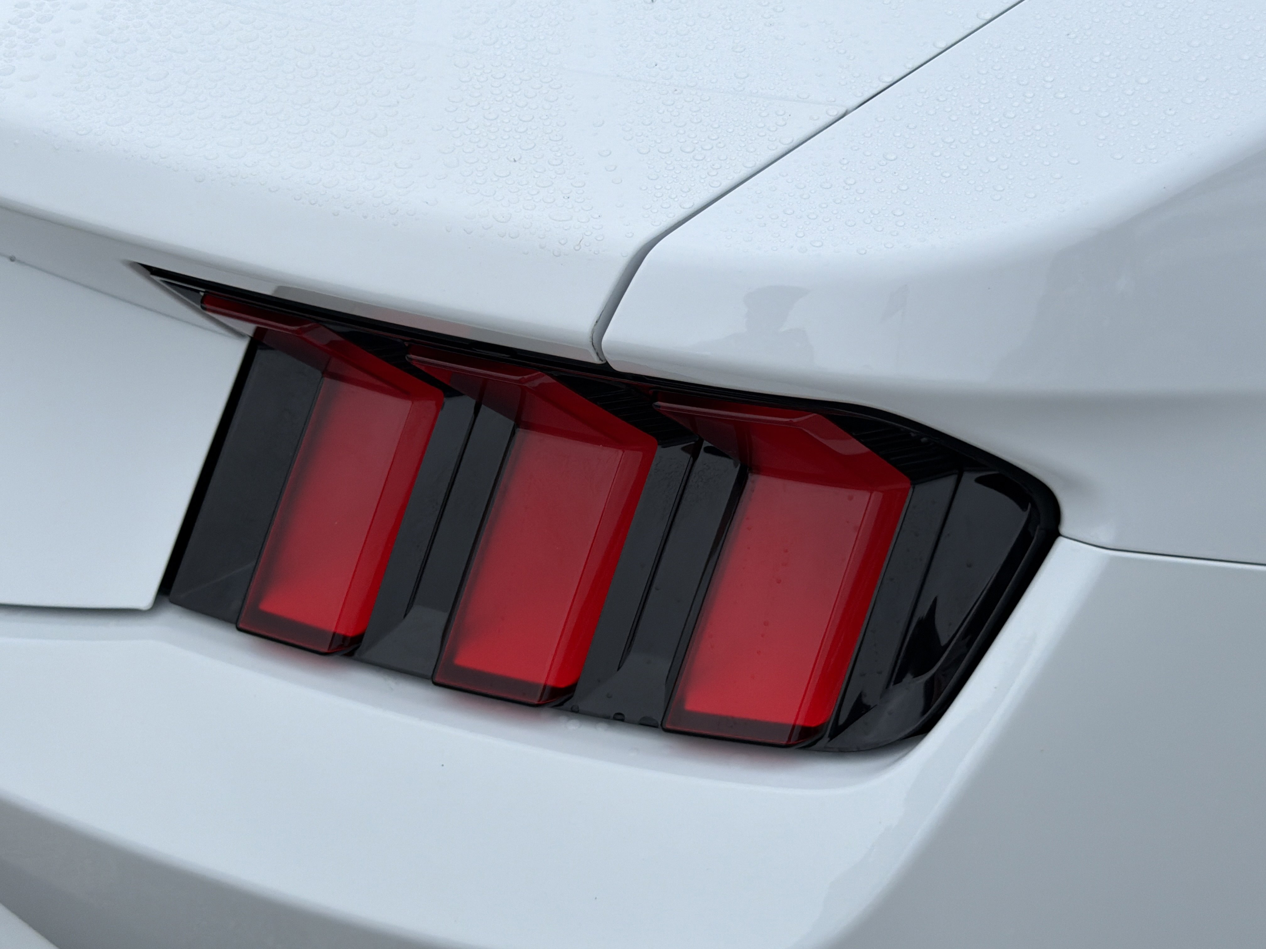 2025 Ford Mustang EcoBoost photo 3