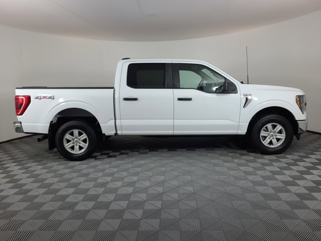 Used 2023 Ford F-150 XLT with VIN 1FTFW1E85PFA75524 for sale in Brighton, CO