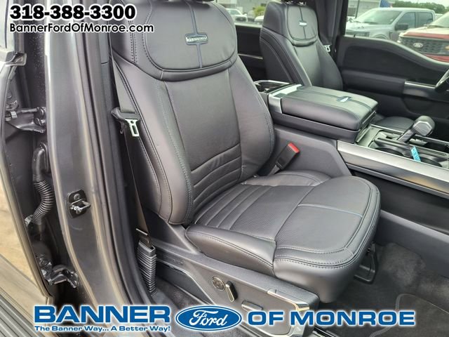 2025 Ford F-150 Platinum - Photo 14