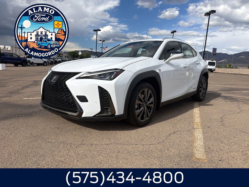 2020 Lexus UX 300h 250h F SPORT AWD's photo