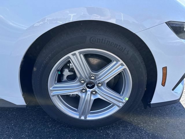 2026 Ford Mustang EcoBoost Fastback - Photo 3