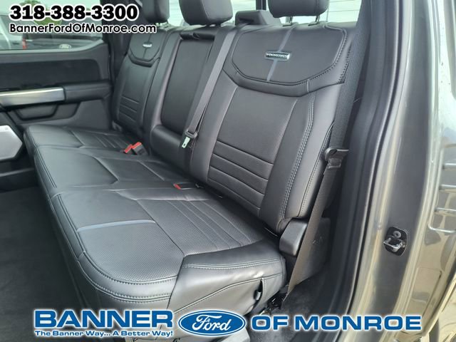 2025 Ford F-150 Platinum - Photo 16