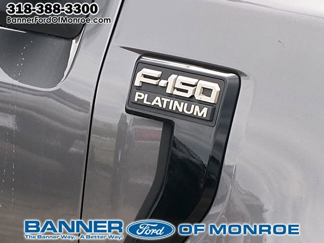 2025 Ford F-150 Platinum - Photo 7