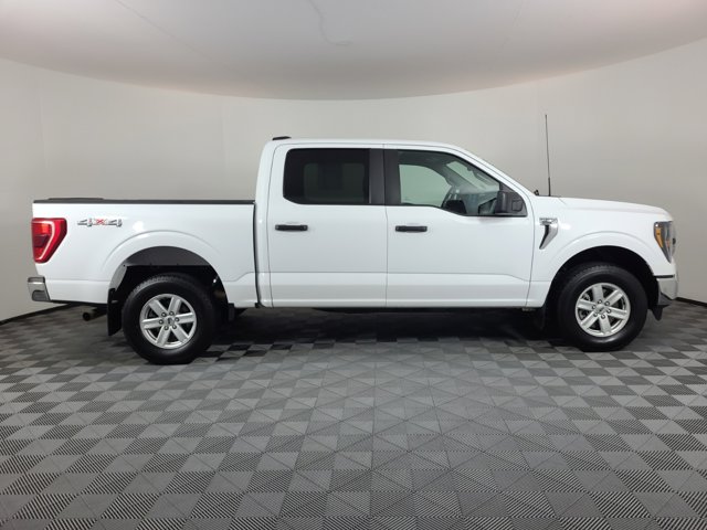 Used 2023 Ford F-150 XLT with VIN 1FTFW1E89PKD96439 for sale in Brighton, CO