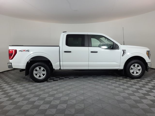 Used 2023 Ford F-150 XLT with VIN 1FTFW1E81PFB09524 for sale in Brighton, CO