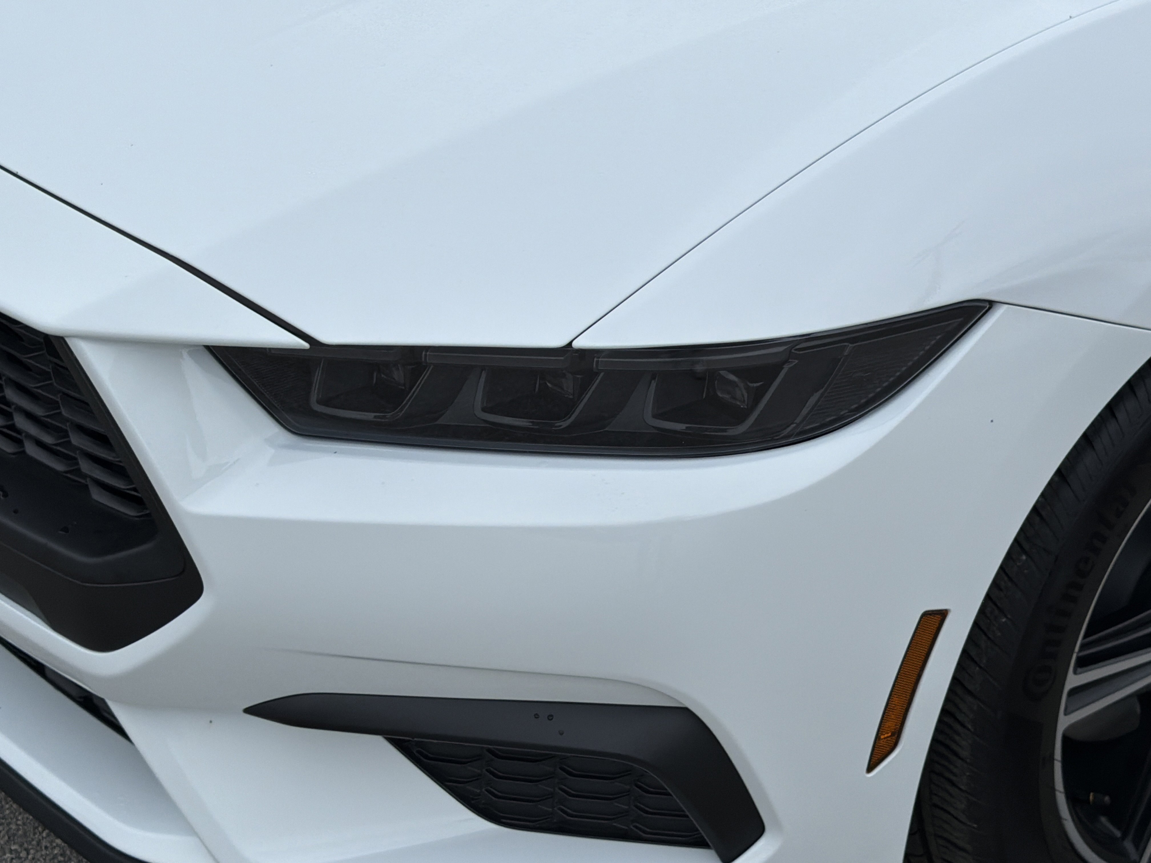 2025 Ford Mustang EcoBoost photo 2