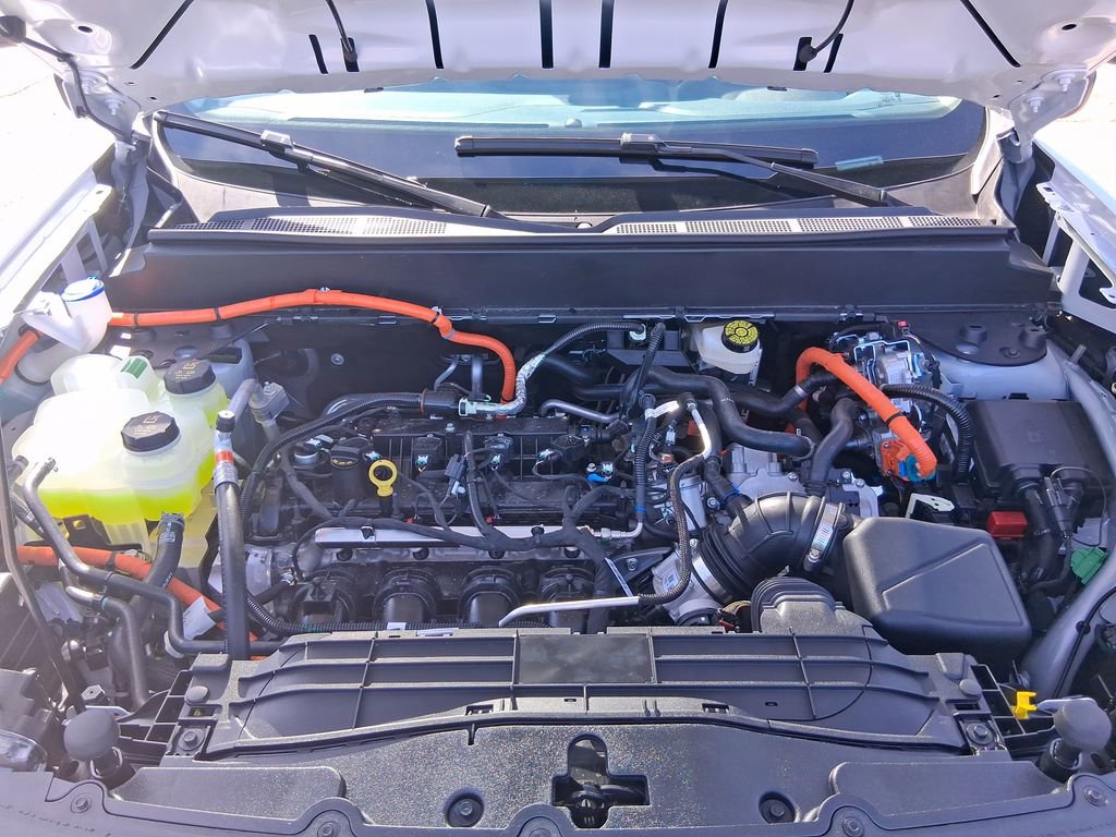 View 19