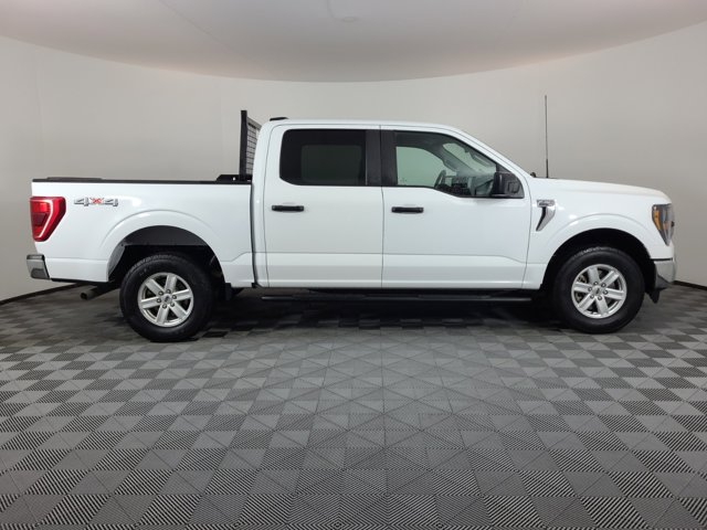 Used 2023 Ford F-150 XLT with VIN 1FTFW1E54PFB09667 for sale in Brighton, CO